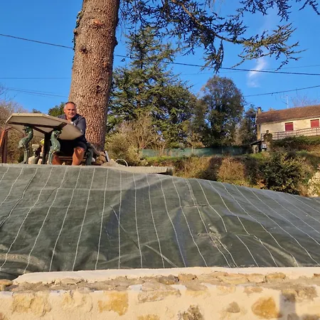 Apartament Les Oliviers *