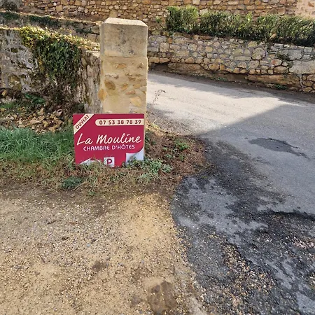 Les Oliviers