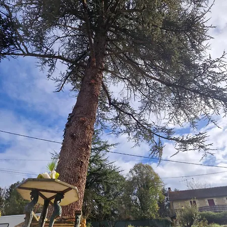 Les Oliviers * Groléjac